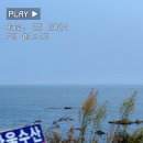 청송해변집 | 2박3일 포항여행 가족들과 포항애견동반펜션에서 호캉스 1일차