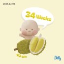 따봉타이어 | D-37. 콘티넨탈 UC6 타이어 교체 &amp; 일산차 7번째 진료 &amp; 첫 태동검사(34주 5일)