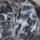 27200-가-74 | 지성두피샴푸추천, 밸르모나 얼쓰 바이탈 샴푸로 정수리 냄새 관리해요!