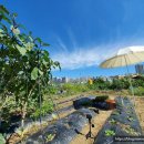 불암농장 이미지