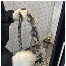 안산하수구막힘 출장 방문으로 해결하는 배관 고민