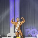 유즈풀