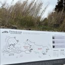 이호그린 | 제주 용암의 흔적을 경험 할 수 있는 신상 가볼만한곳! '파호이호이' 후기🔥