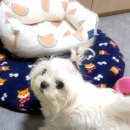 요나헤어