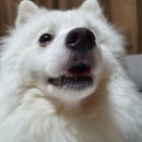 해동가축병원 이미지