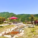 (주)옥천제이 | 충북 옥천 여행 추천 장계관광지 feat.전통문화체험관 인근