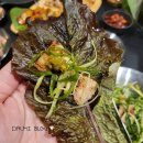 초록슈피아 캠핑장 이미지