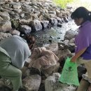 지니어스수학과학학원 이미지