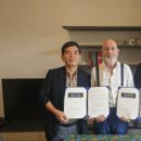 진안홍삼 이미지