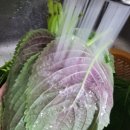 서진농장 이미지