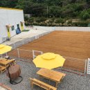 모델독켄넬 이미지