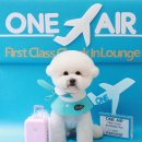 그루밍츄 이미지