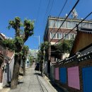 GS25 수정동일점 이미지