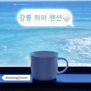 강릉하파펜션 이미지