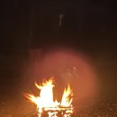 벽계천 | 양평 캠핑장 추천 숲이야, 벽계천 계곡과 불멍이 함께하는 가족 캠핑 여행
