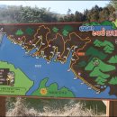 장성호 수변길 이미지