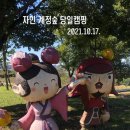 자인계정숲 이미지