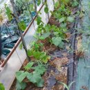 현재농장 이미지