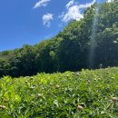 가나다농장 이미지