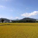 현미민박 이미지