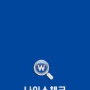 나이스체크