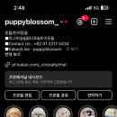 에덴퍼피 이미지