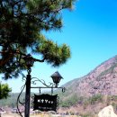 원골펜션민박 이미지