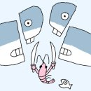 새우몸집 이미지