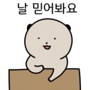 안씨하우스
