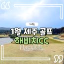 골물동교차로 1 | 1월 제주 골프 제주 해비치CC 겨울 골프여행 후기