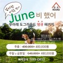 무아레도그라운드 이미지