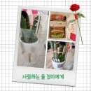 정이수학교습소