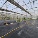 용무농장 이미지