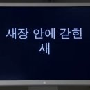 선주고등학교 이미지