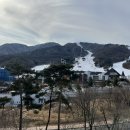 가족호텔 금님동 이미지