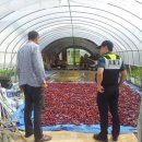 도고·선장파출소 이미지