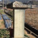 녹동식자재마트 이미지