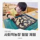 밀알의 집 | 창원 사회적농장 밀알 체험 후기｜쿠키 만들기와 밀가루촉감놀이
