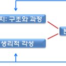 영재 만들기 7편- 정서의 분화와 발현 이미지