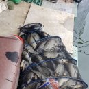 방아실낚시터 이미지