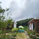 황학산비채숲펜션 | 칠곡펜션 낚시도 하고 멋진 풍경이 있었던 황학산비채숲펜션 후기