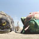 주민이들려주는 영화 이미지