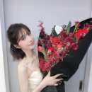 조이야 마이데일리