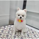 예쁜미용 이미지