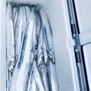 일오삼낚시 이미지