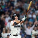 롤리