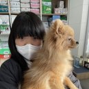 온양 발리동물병원 이미지