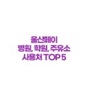 닛시오일마트주유소 | 울산페이 의외의 꿀 사용처 TOP 5: 병원, 학원, 주유소, 과연 될까? (ft. 실제 결제 후기)