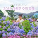 2025 울산 장생포 수국 축제 | 실시간 개화현황부터 주차 입장료 방문 추천시기까지 총정리