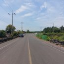 온평리-5 이미지